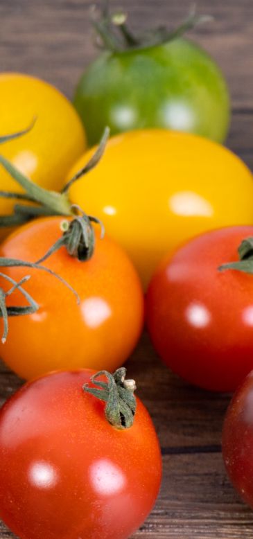 みやわき食品（宮脇食品）取扱商品詳細　カラフルミニトマト